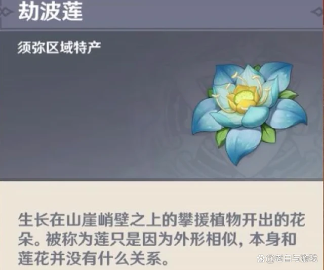 原神草神升級突破材料有哪些