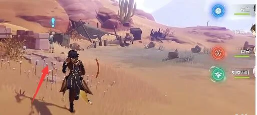 《原神》石頭能不能開花任務攻略