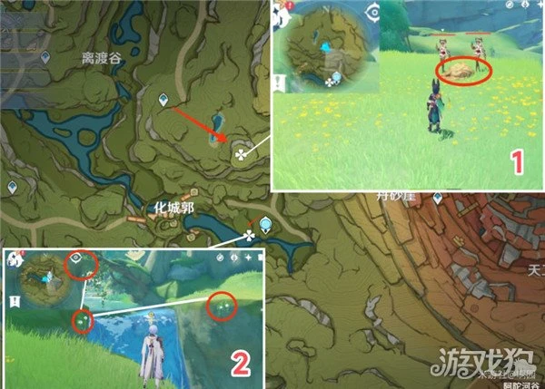 原神劫波蓮採集路線大全 76個分布點位分享