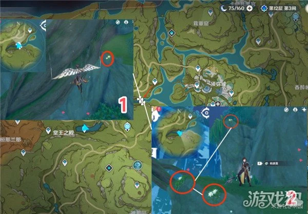 原神劫波蓮採集路線大全 76個分布點位分享