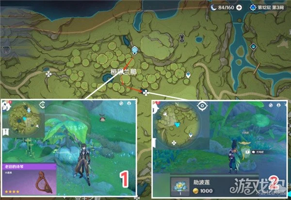 原神劫波蓮採集路線大全 76個分布點位分享