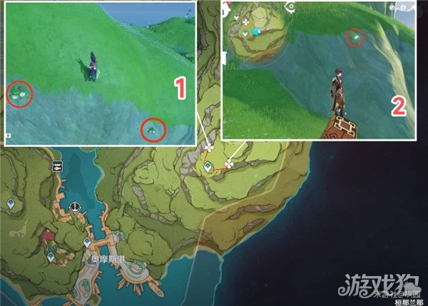 原神劫波蓮採集路線大全 76個分布點位分享