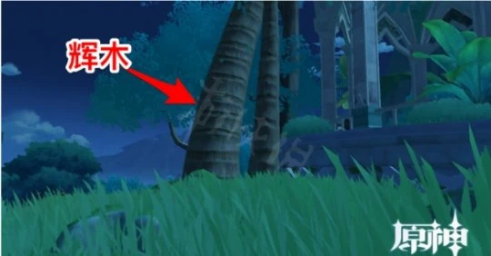 《原神》業果木哪裡採集？業果木採集點介紹