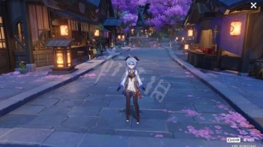 《原神》王下近侍好用嗎？王下近侍適用角色介紹