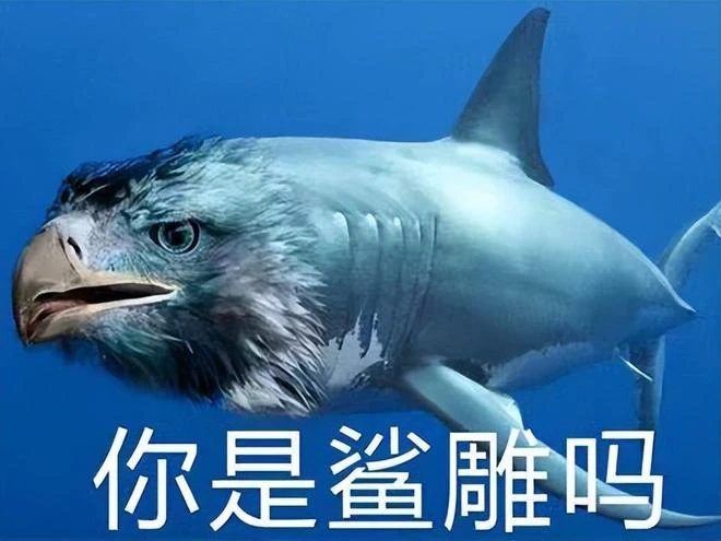 要被笑死了！這必須是年度最沙雕遊戲，玩起來有種竄稀的感覺