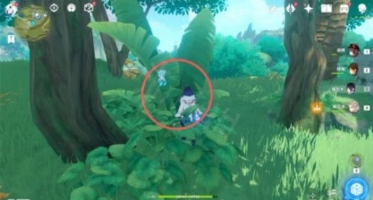 《原神》證悟木怎麼速刷？證悟木速刷方法介紹