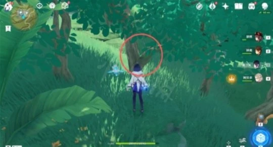 《原神》證悟木怎麼速刷？證悟木速刷方法介紹