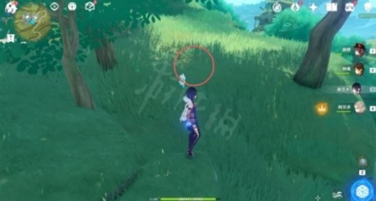 《原神》證悟木怎麼速刷？證悟木速刷方法介紹