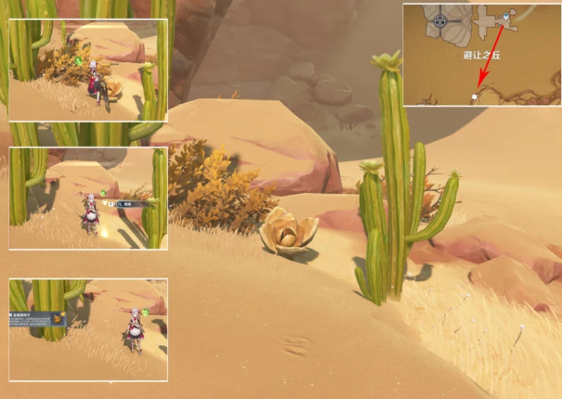 原神種植金薔薇任務怎麼完成