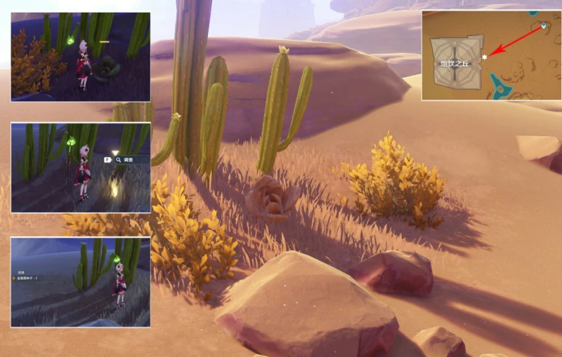 原神種植金薔薇任務怎麼完成