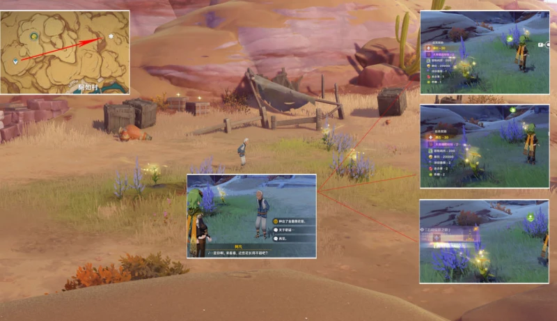 原神種植金薔薇任務怎麼完成