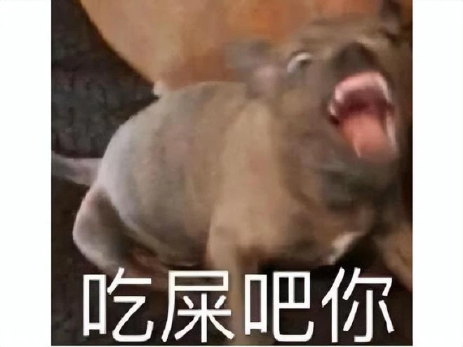 奇葩玩家出院後，不顧傷痛下床開玩，為不拉後腿粑粑憋不住噴了