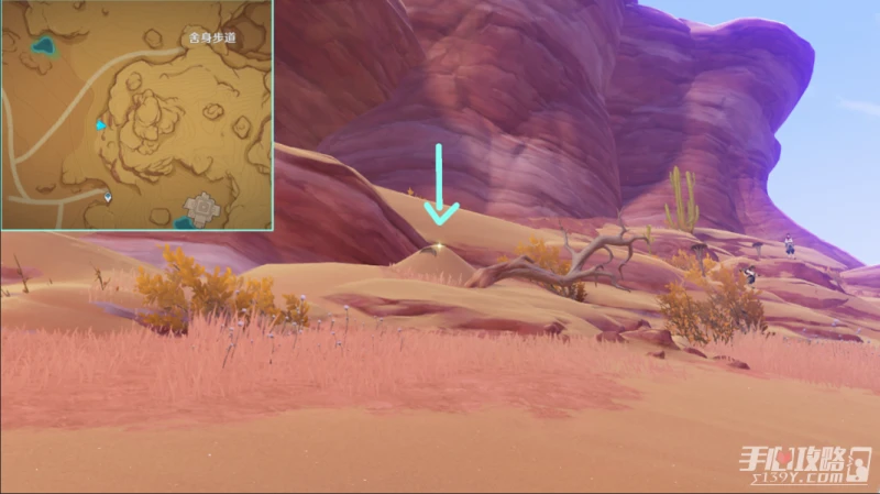 《原神》神秘的剪貼簿12位置介紹