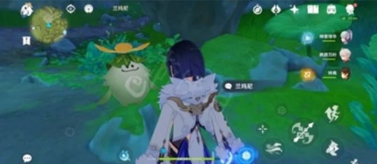 《原神》須彌材料商人在哪裡？須彌材料商人位置介紹