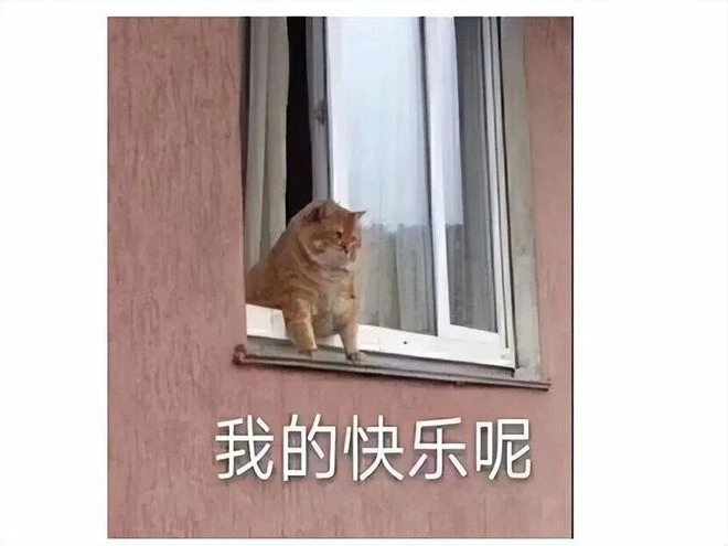 忽悠玩家8個月，才告知沒有澀澀？1天內Steam收到15000條差評