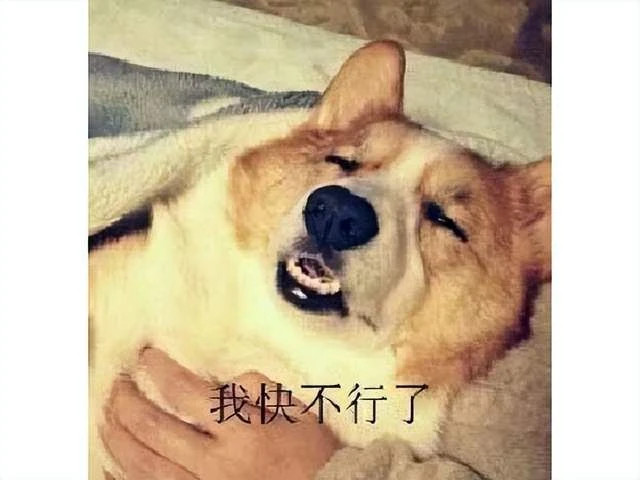 日本人搞砸了？吃雞版最終幻想一年就涼，網友：不如讓騰訊網易做