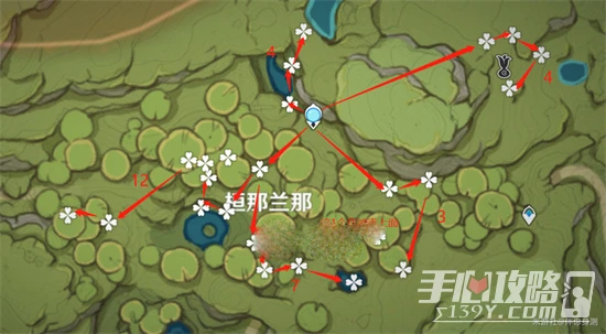 《原神》帕蒂沙蘭快速收集路線圖