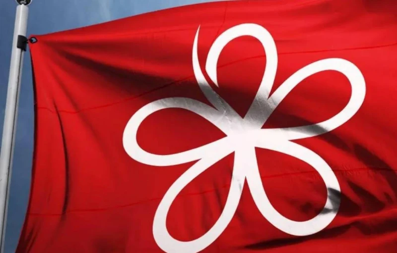 【大馬選舉】政治學者：土團黨選後泡沫化