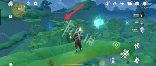 《原神》桓那蘭那的華麗寶箱在哪？桓那蘭那的華麗寶箱攻略分享