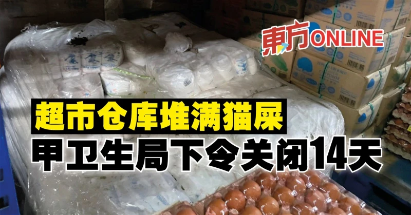 超市倉庫堆滿貓屎　甲衛生局下令關閉14天