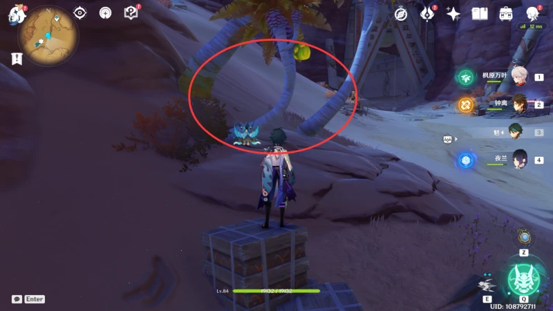 原神檉木在哪採集