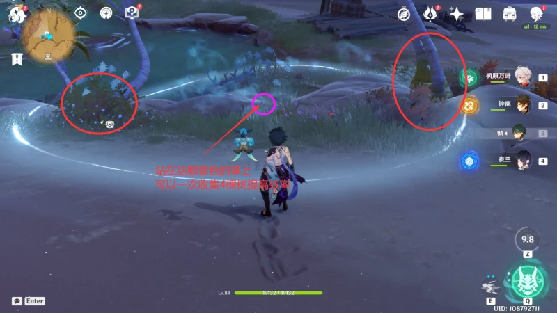 原神檉木在哪採集