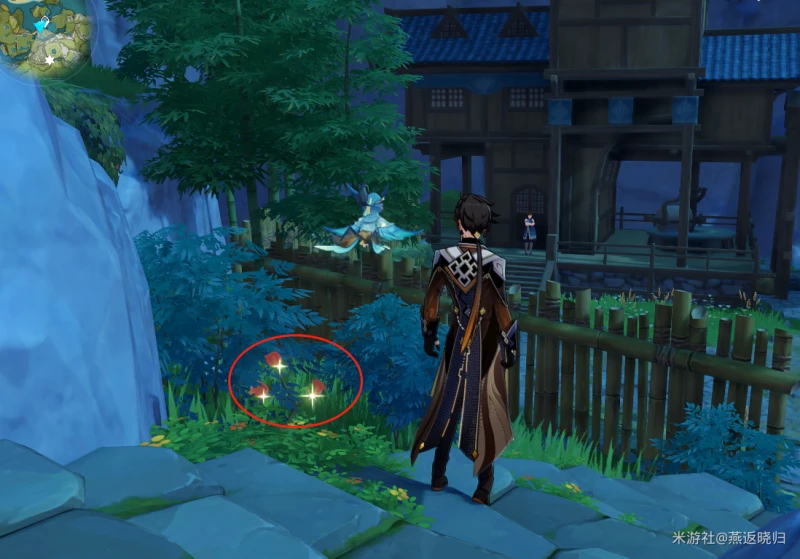 原神3.1絕雲椒椒在哪採集