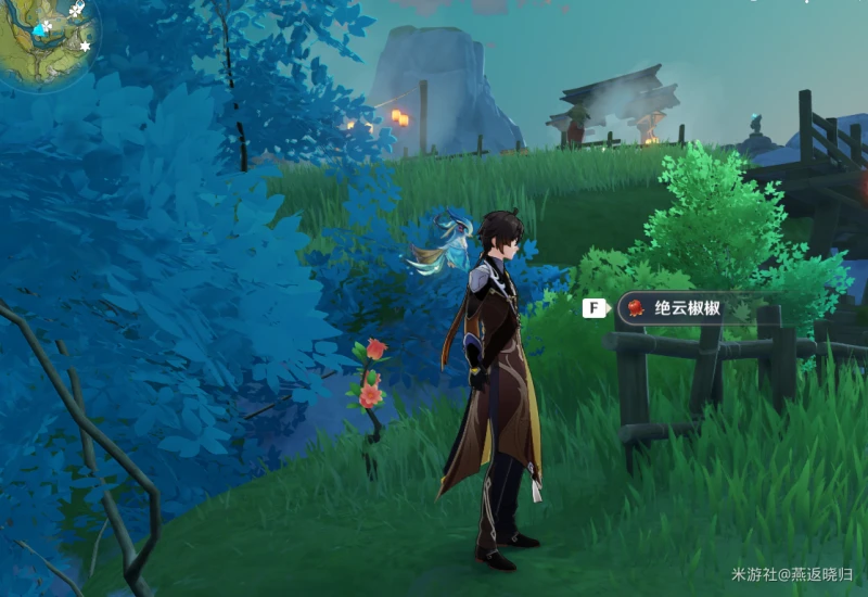 原神3.1絕雲椒椒在哪採集