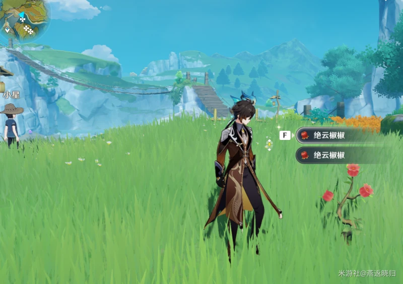原神3.1絕雲椒椒在哪採集
