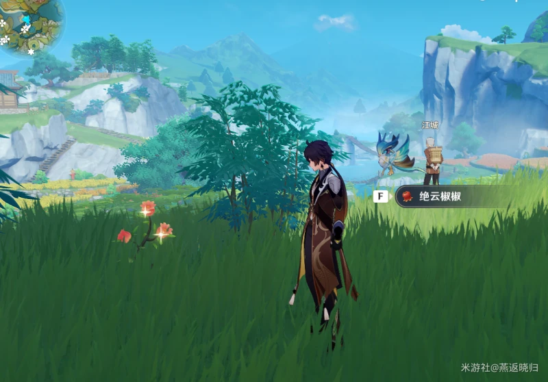 原神3.1絕雲椒椒在哪採集