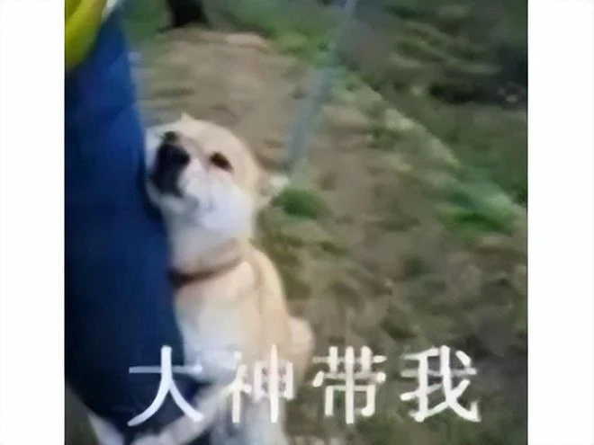 韓國人做的暗黑遊戲有多絕？連呼吸都要收費，玩法爛到不如傳奇