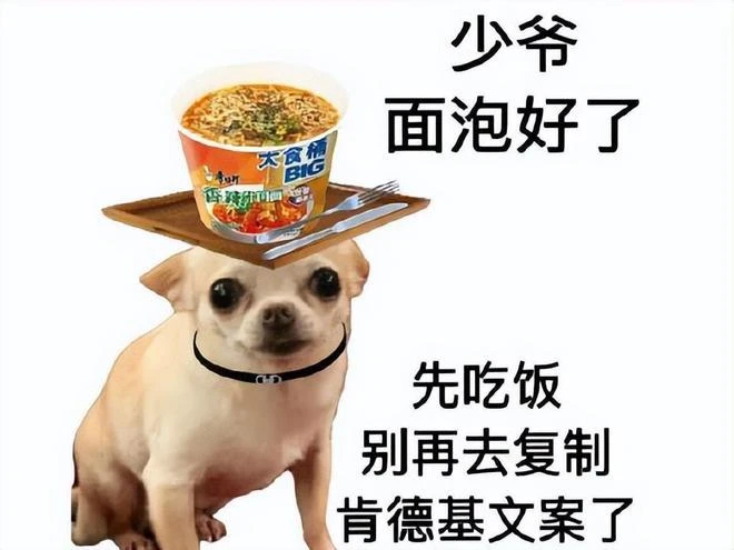 半夜上網結果摔傷兩個，帶傷通宵遊戲，後來躺了一個月