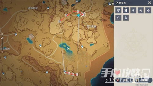 《原神》刺葵木快速採集路線圖分享