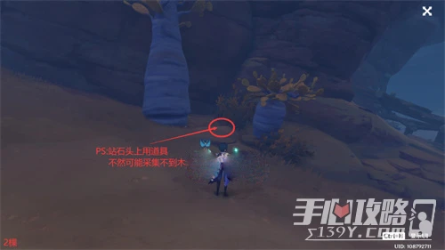 《原神》刺葵木快速採集路線圖分享