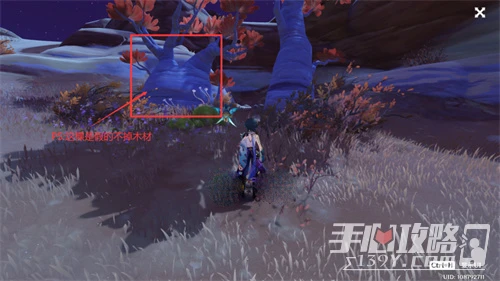 《原神》刺葵木快速採集路線圖分享