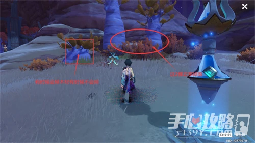 《原神》刺葵木快速採集路線圖分享