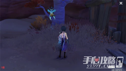 《原神》刺葵木快速採集路線圖分享