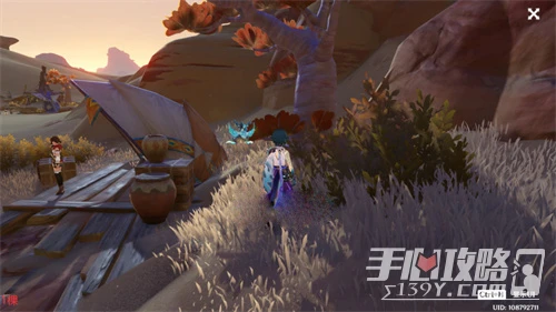 《原神》刺葵木快速採集路線圖分享