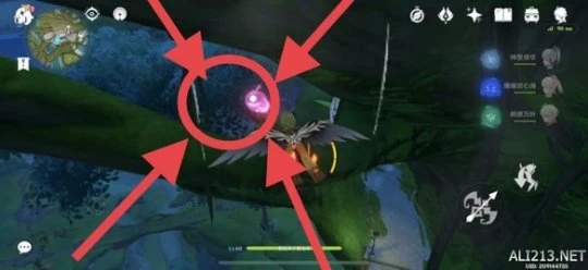 《原神》須彌城華麗寶箱位置介紹 須彌城華麗寶箱在哪？