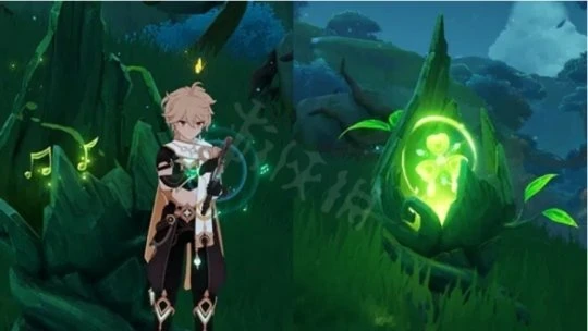 《原神》草種子空殼怎麼激活？草種子空殼激活方法介紹