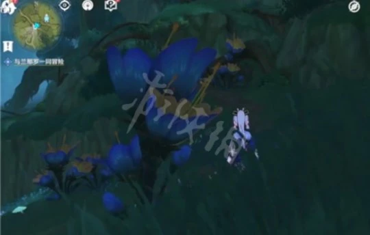 《原神》與蘭那羅一同冒險任務無指引怎麼做？與蘭那羅一同冒險任務無指引攻略