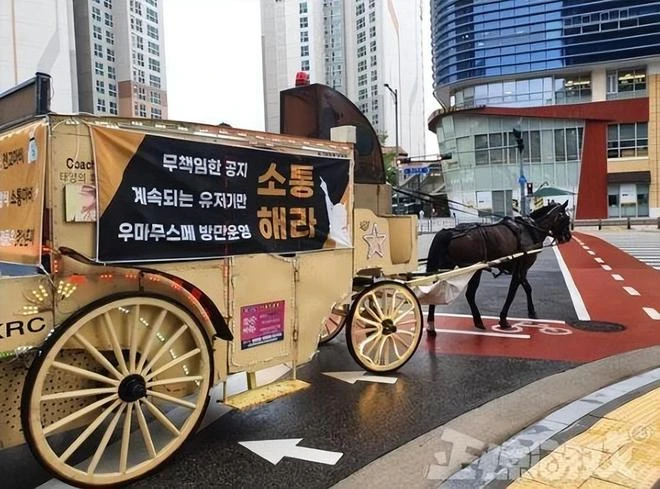 韓國版騰訊遭大劫,3萬伺服器癱瘓,應對太拉胯總統被逼出手