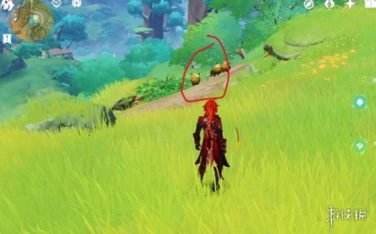 《原神》與珍惜之鳥的短暫邂逅任務流程 暝彩鳥位置分布一覽