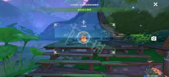 《原神》蘭那羅三種顏色在哪？蘭那羅三種顏色位置介紹