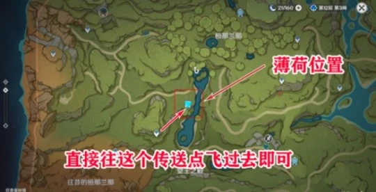 《原神》須彌怎麼速刷好感任務？須彌速刷好感任務方法介紹