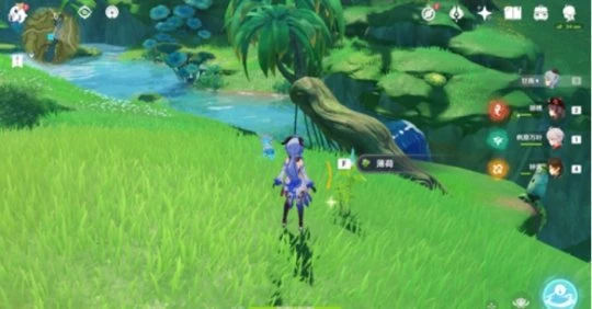 《原神》須彌怎麼速刷好感任務？須彌速刷好感任務方法介紹