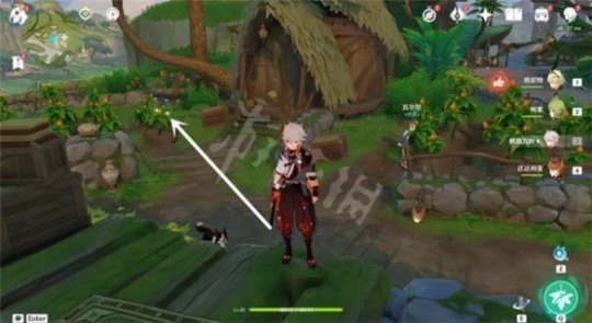 《原神》3.1帕蒂莎蘭最佳採集路線 3.1帕蒂莎快速採集路線