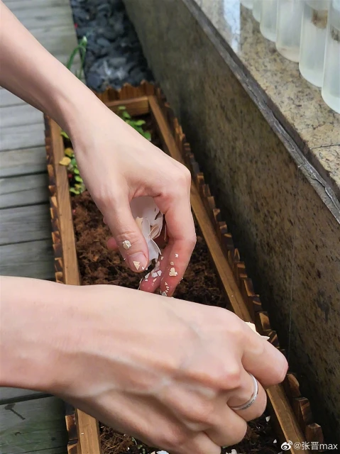 蔡少芬上海家中種菜　網調侃：港姐都要耕種謀生？
