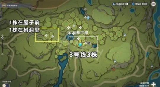 《原神》3.1帕蒂莎蘭最佳採集路線 3.1帕蒂莎快速採集路線