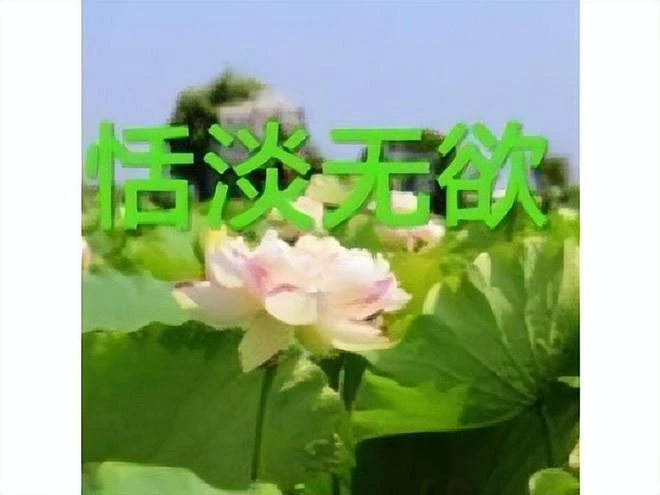 魔獸世界的稀有坐騎，有玩家刷了8年沒出，有人一天收穫兩極品